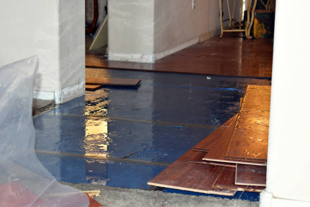 Professional Burst Pipe Cleanup technician working in Orting, WA